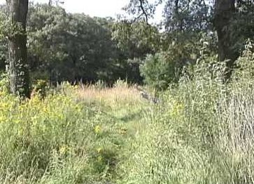 Rose Creek West WMA, Nebraska